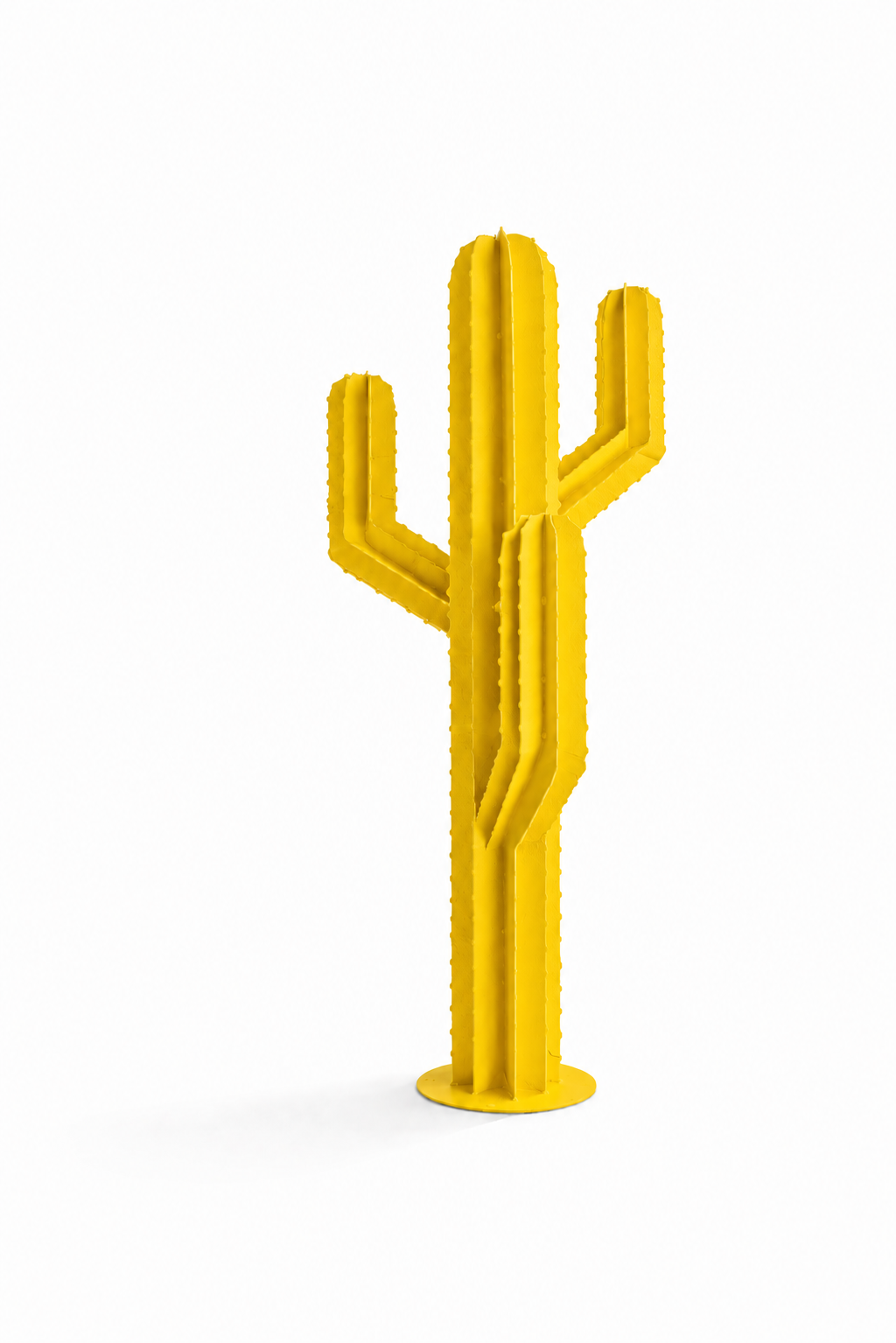 SAGUARO — Trois branches
