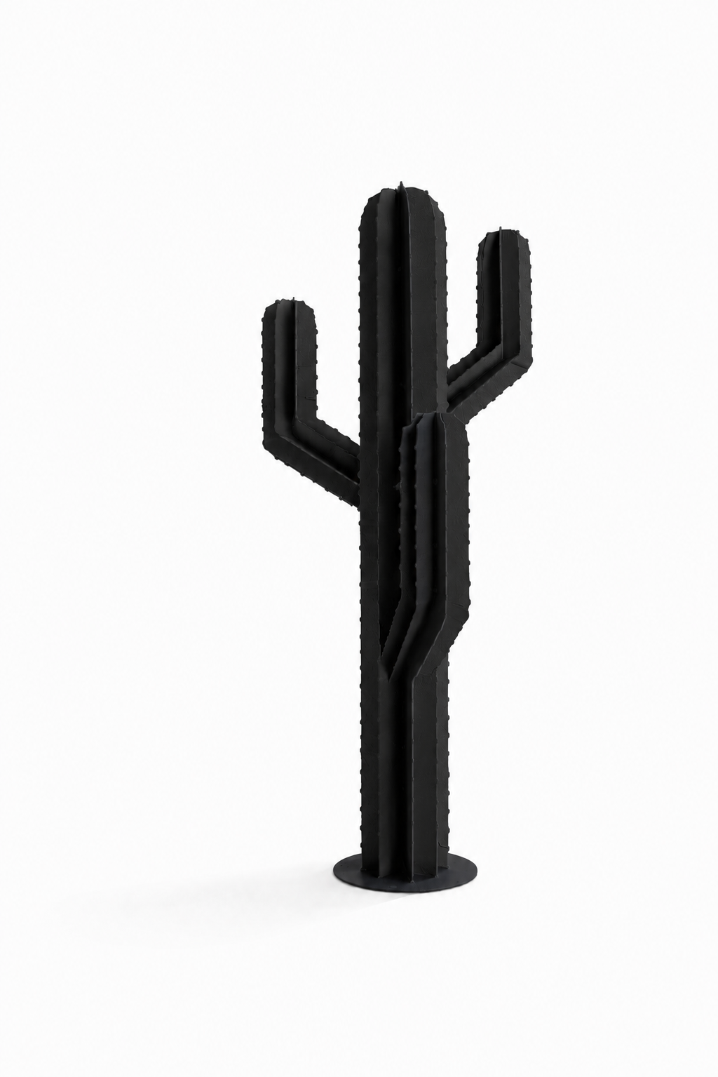 SAGUARO — Trois branches