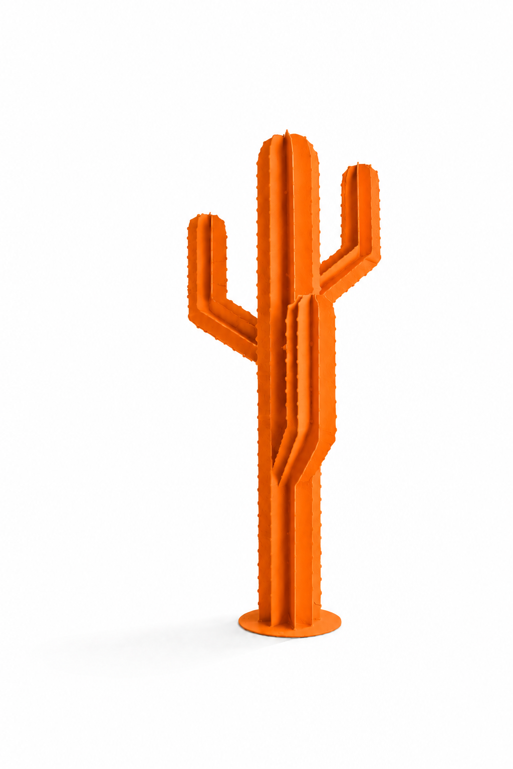 SAGUARO — Trois branches