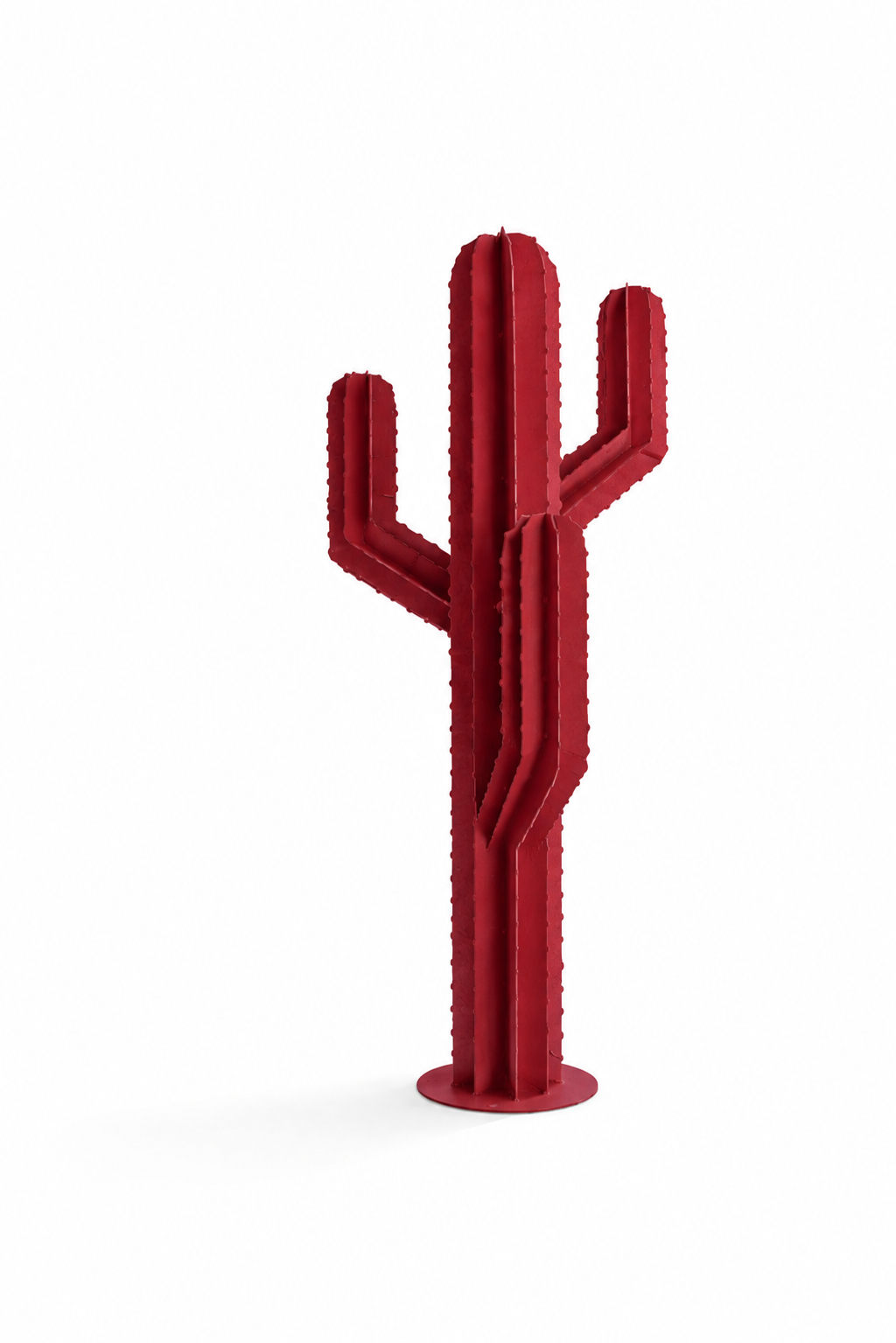 SAGUARO — Trois branches