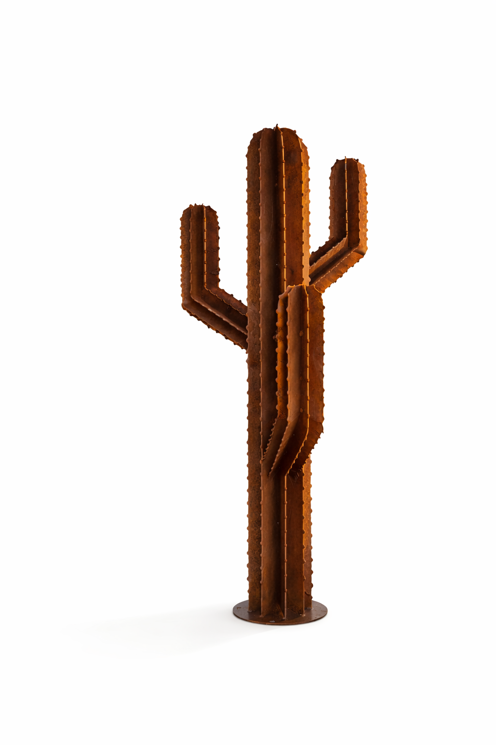 SAGUARO — Trois branches