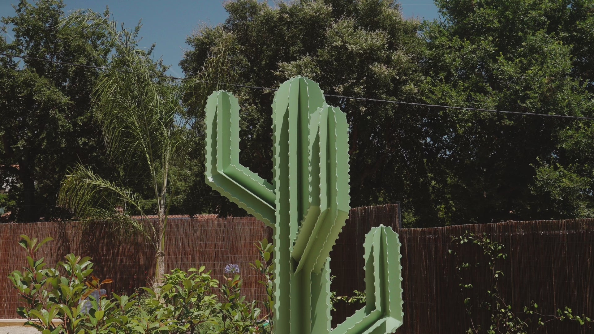SAGUARO — Trois branches